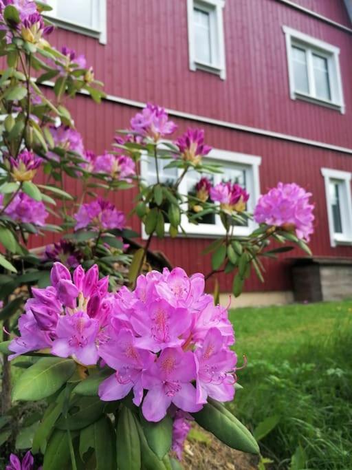 Haus Gruenfels Apartment Murau Luaran gambar