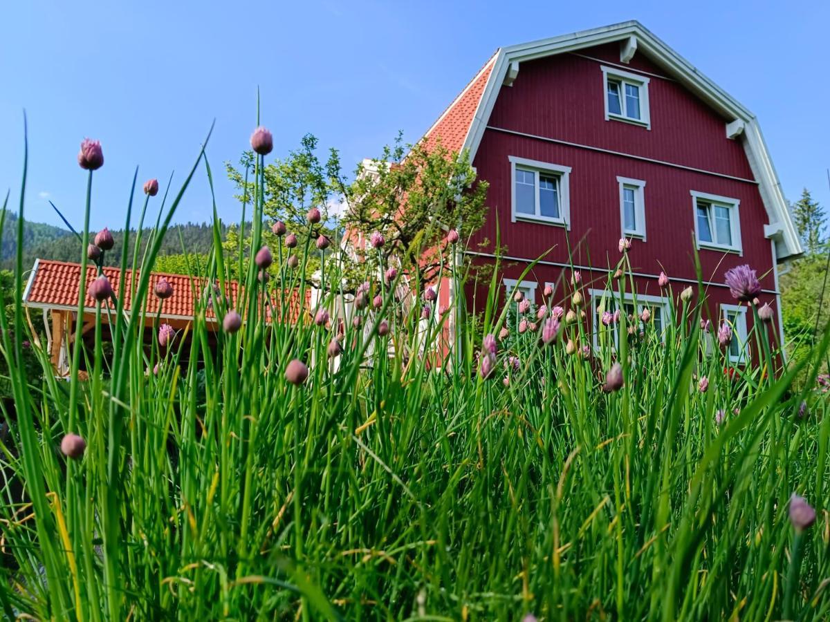 Haus Gruenfels Apartment Murau Luaran gambar