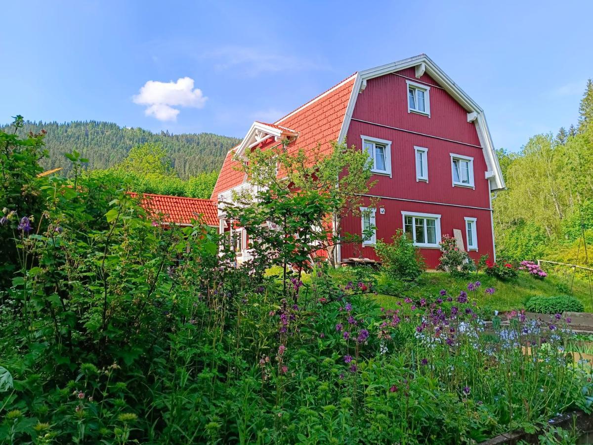 Haus Gruenfels Apartment Murau Luaran gambar