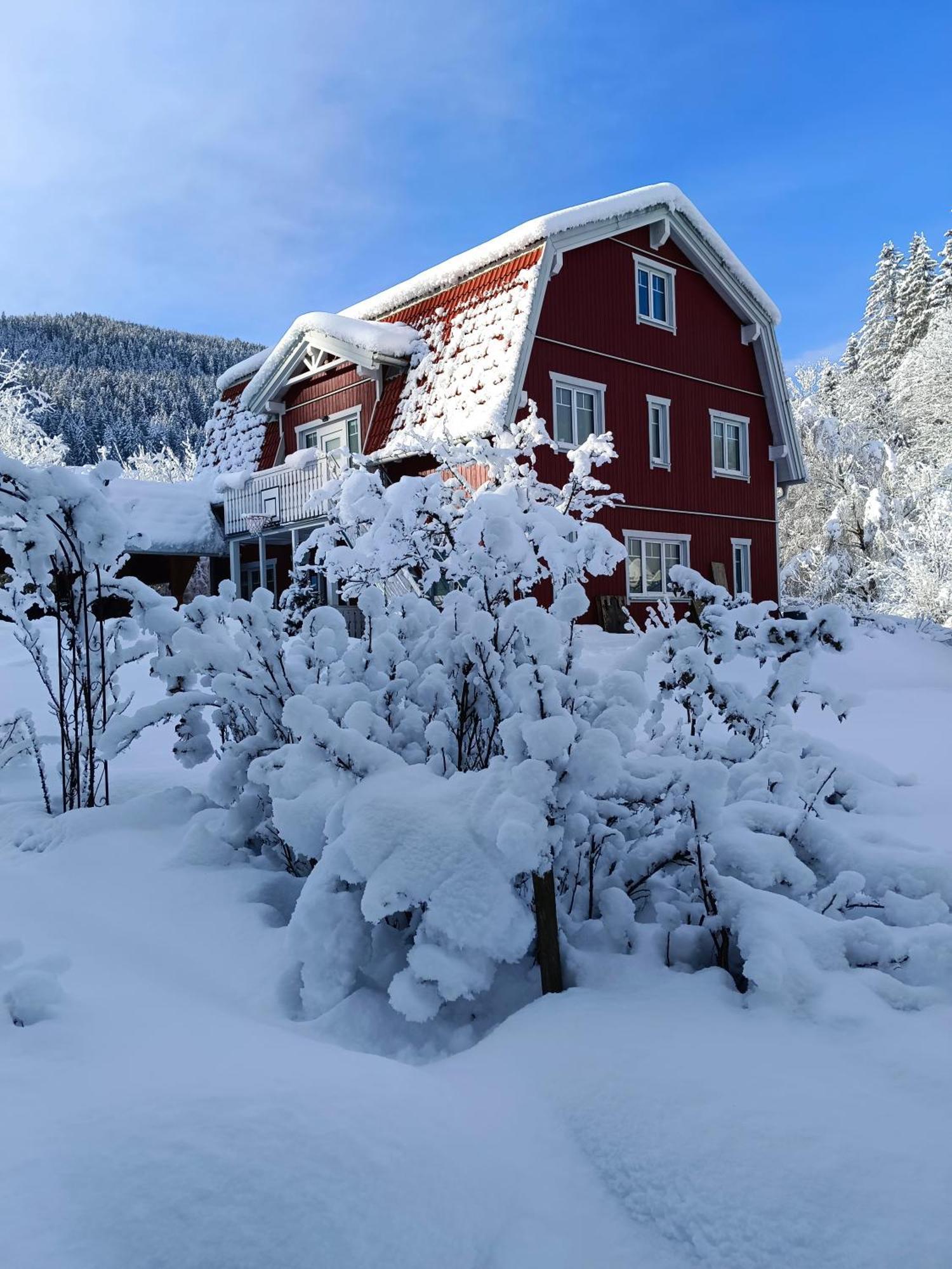 Haus Gruenfels Apartment Murau Luaran gambar